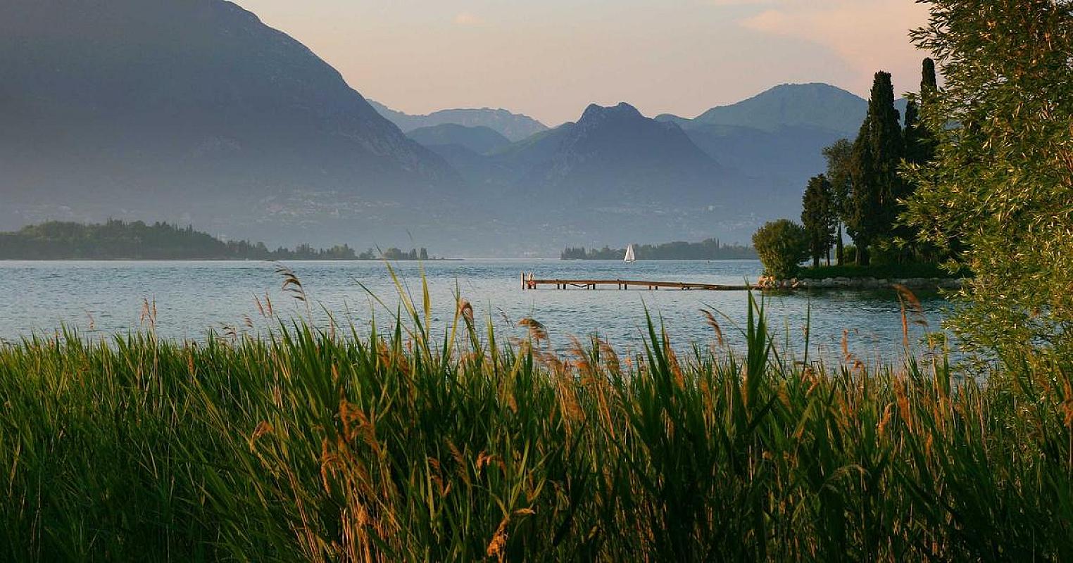 UI Design Principles