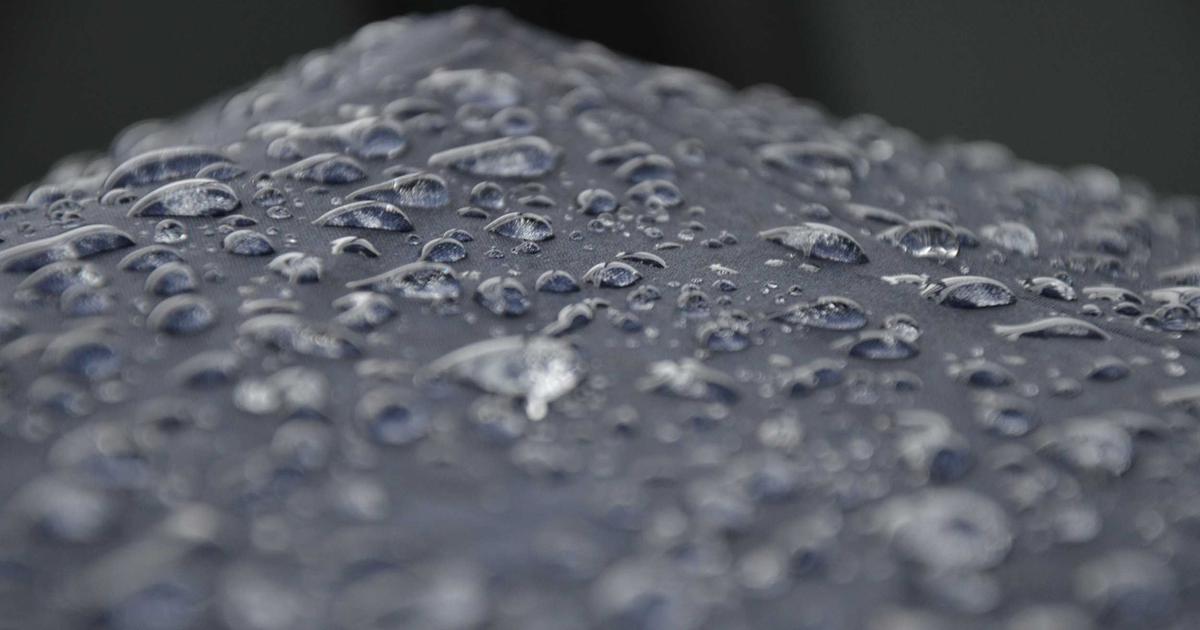 The Future of AI in Software Development