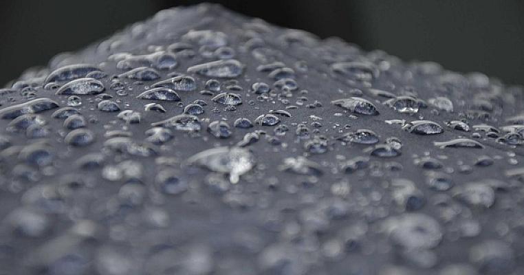 The Future of AI in Software Development