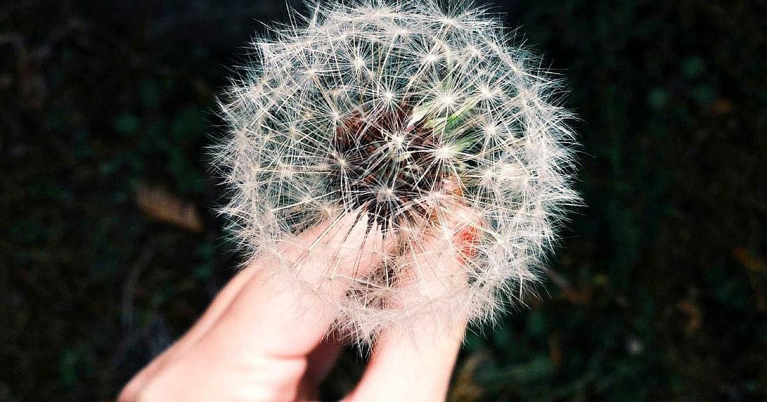 Mastering CSS Grid Layout