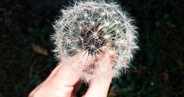 Mastering CSS Grid Layout