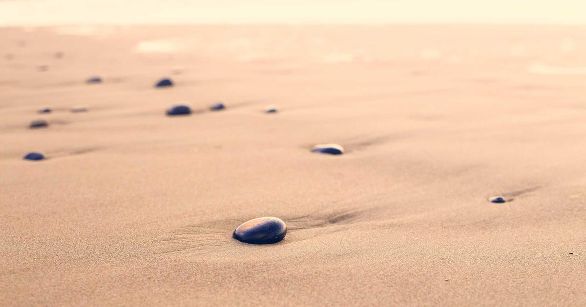 Cybersecurity Essentials for Developers